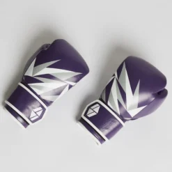 Society Nine Bia Boxing Gloves