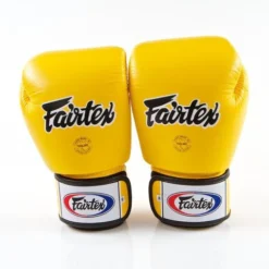 Ringside Fairtex BGV1 Muay Thai Gloves