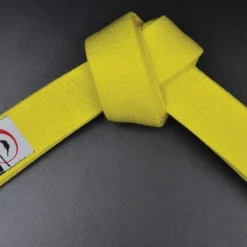 Gi's And Belts Fuji Sport Belts Solid Color