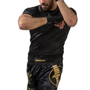 Shorts And Spats Hayabusa Falcon Muay Thai Shorts