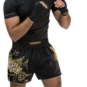 Shorts And Spats Hayabusa Falcon Muay Thai Shorts