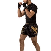 Shorts And Spats Hayabusa Falcon Muay Thai Shorts