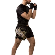 Shorts And Spats Hayabusa Falcon Muay Thai Shorts