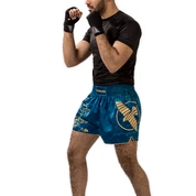 Shorts And Spats Hayabusa Falcon Muay Thai Shorts