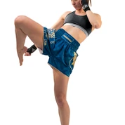 Shorts And Spats Hayabusa Falcon Muay Thai Shorts