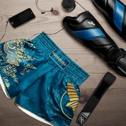 Shorts And Spats Hayabusa Falcon Muay Thai Shorts