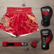 Shorts And Spats Hayabusa Falcon Muay Thai Shorts