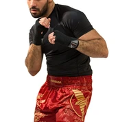 Shorts And Spats Hayabusa Falcon Muay Thai Shorts