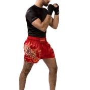 Shorts And Spats Hayabusa Falcon Muay Thai Shorts