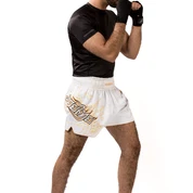 Shorts And Spats Hayabusa Falcon Muay Thai Shorts