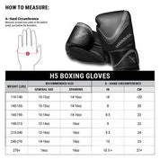 Hayabusa H5 Boxing Gloves