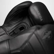 Hayabusa T3 Kanpeki Boxing Gloves