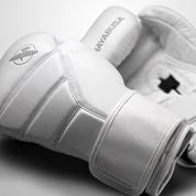 Hayabusa T3 Kanpeki Boxing Gloves