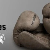 Hayabusa T3 LX Boxing Gloves