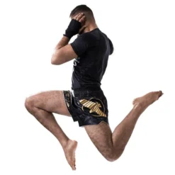 Shorts And Spats Hayabusa Falcon Muay Thai Shorts
