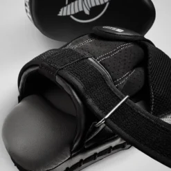Hayabusa PTS3 Focus Mitts