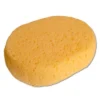 Accessories Ringside Training Sponge