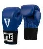 TITLE Masters USA Boxing Competition Gloves - Elastic