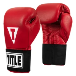 TITLE Masters USA Boxing Competition Gloves - Elastic