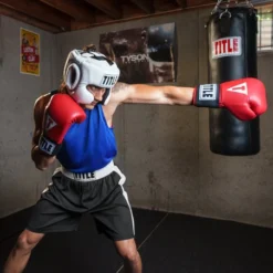 TITLE Masters USA Boxing Competition Gloves - Elastic