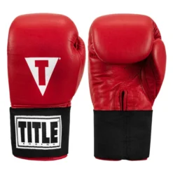 TITLE Masters USA Boxing Competition Gloves - Elastic