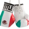 Title 3.5" Mini Boxing Gloves Accessories