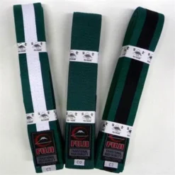 Gi's And Belts Fuji Child BJJ Belt With Stripes